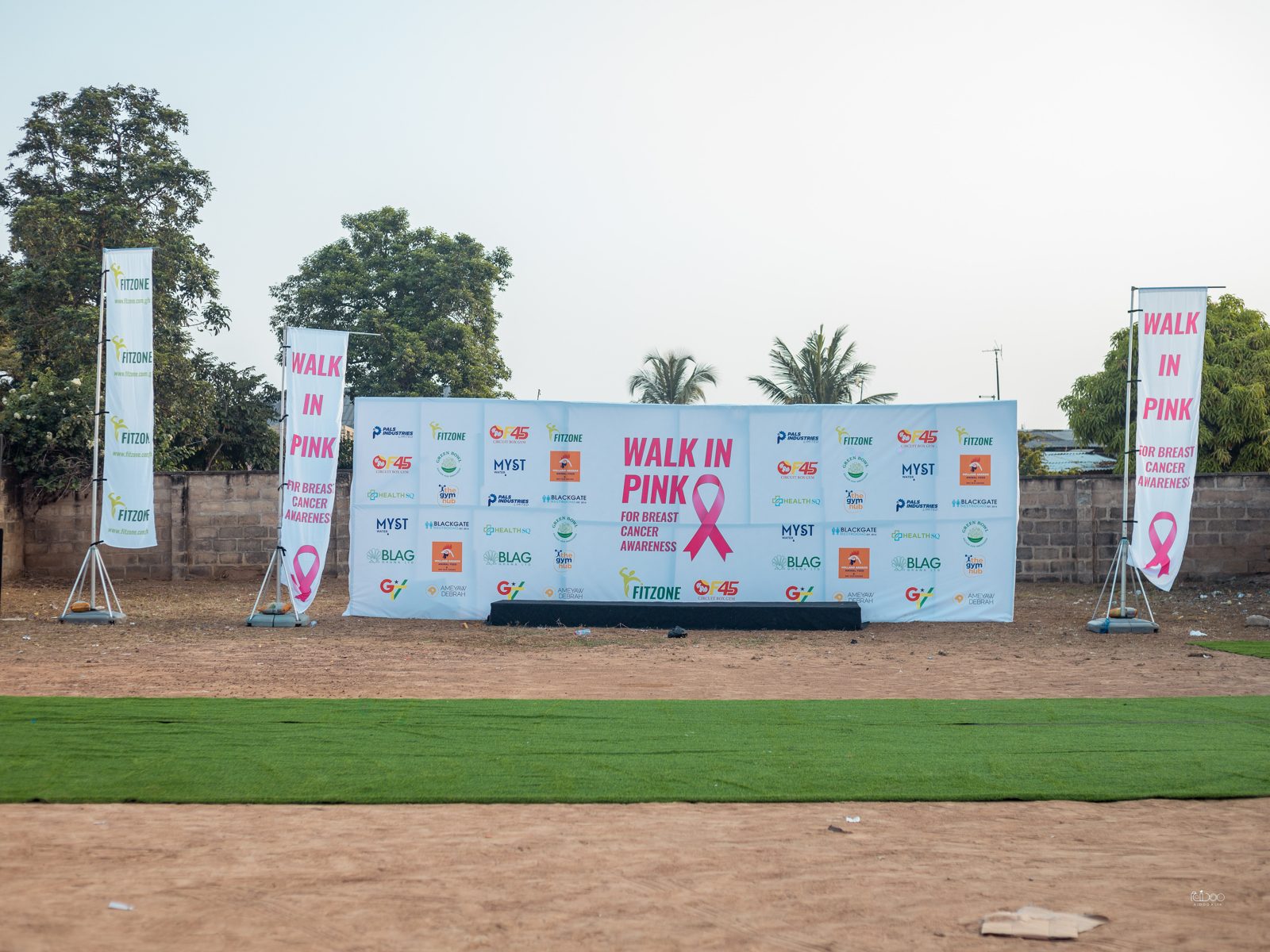 Walk In Pink 2022, photo 3