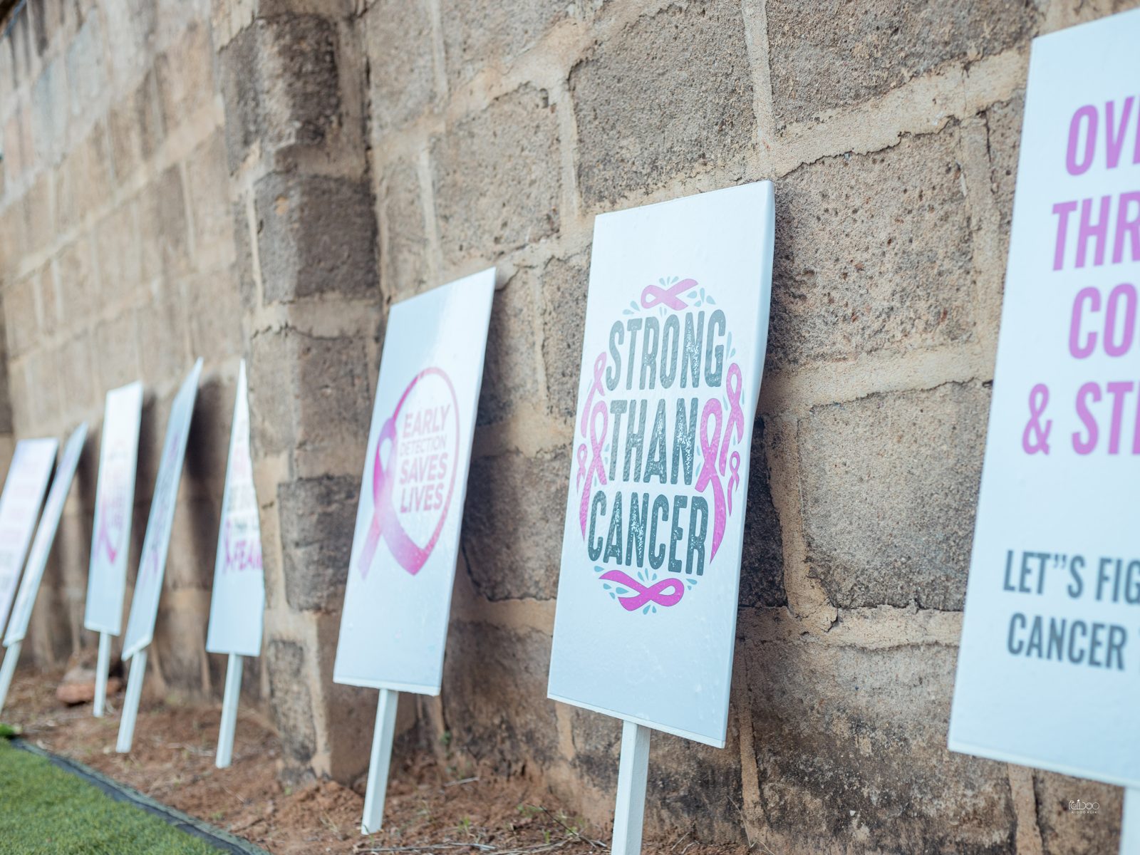 Walk In Pink 2022, photo 6