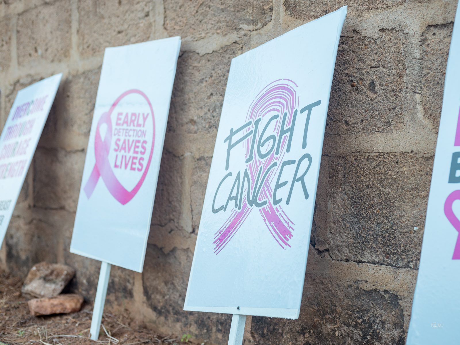 Walk In Pink 2022, photo 7