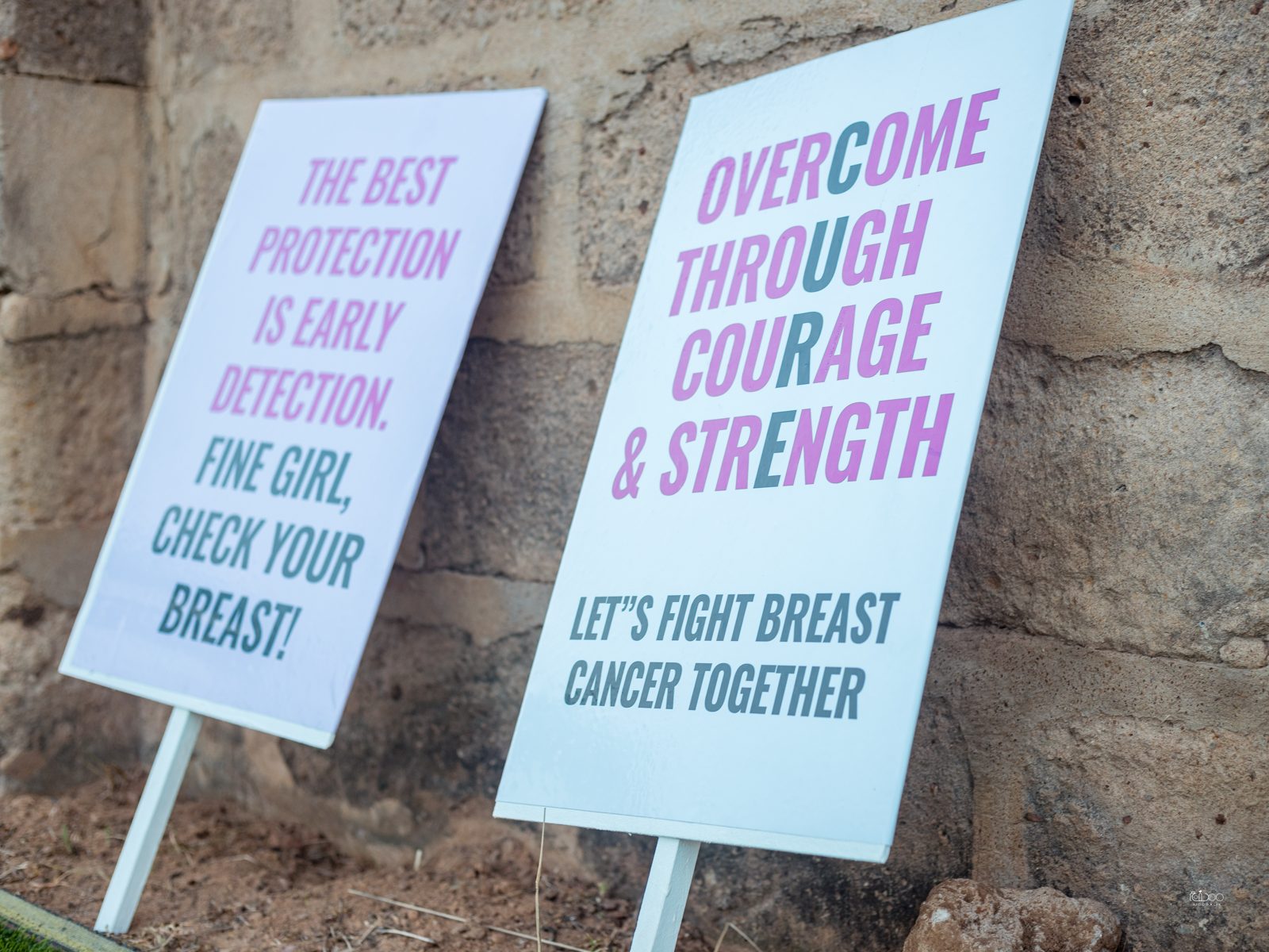 Walk In Pink 2022, photo 8