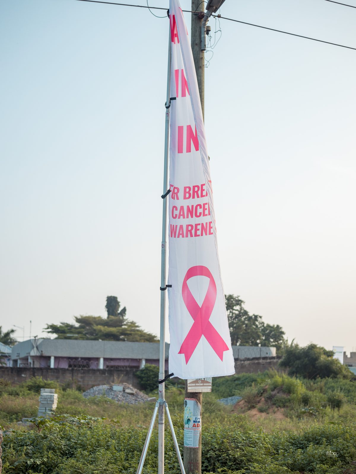 Walk In Pink 2022, photo 11