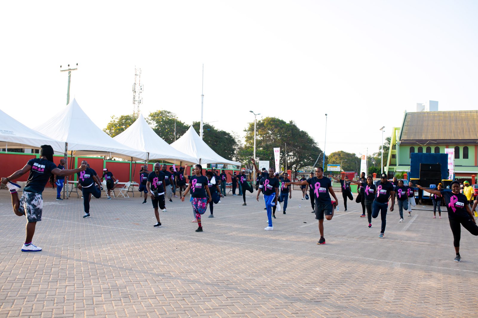 Walk In Pink 2023, photo 13