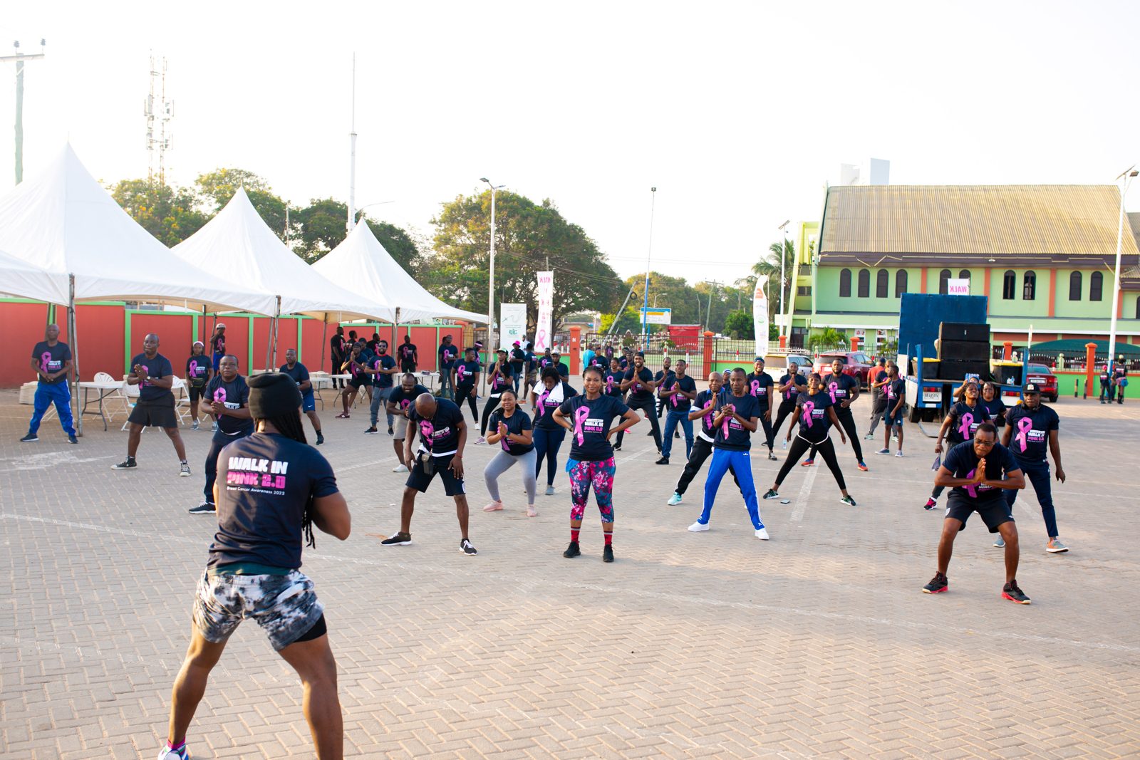 Walk In Pink 2023, photo 15
