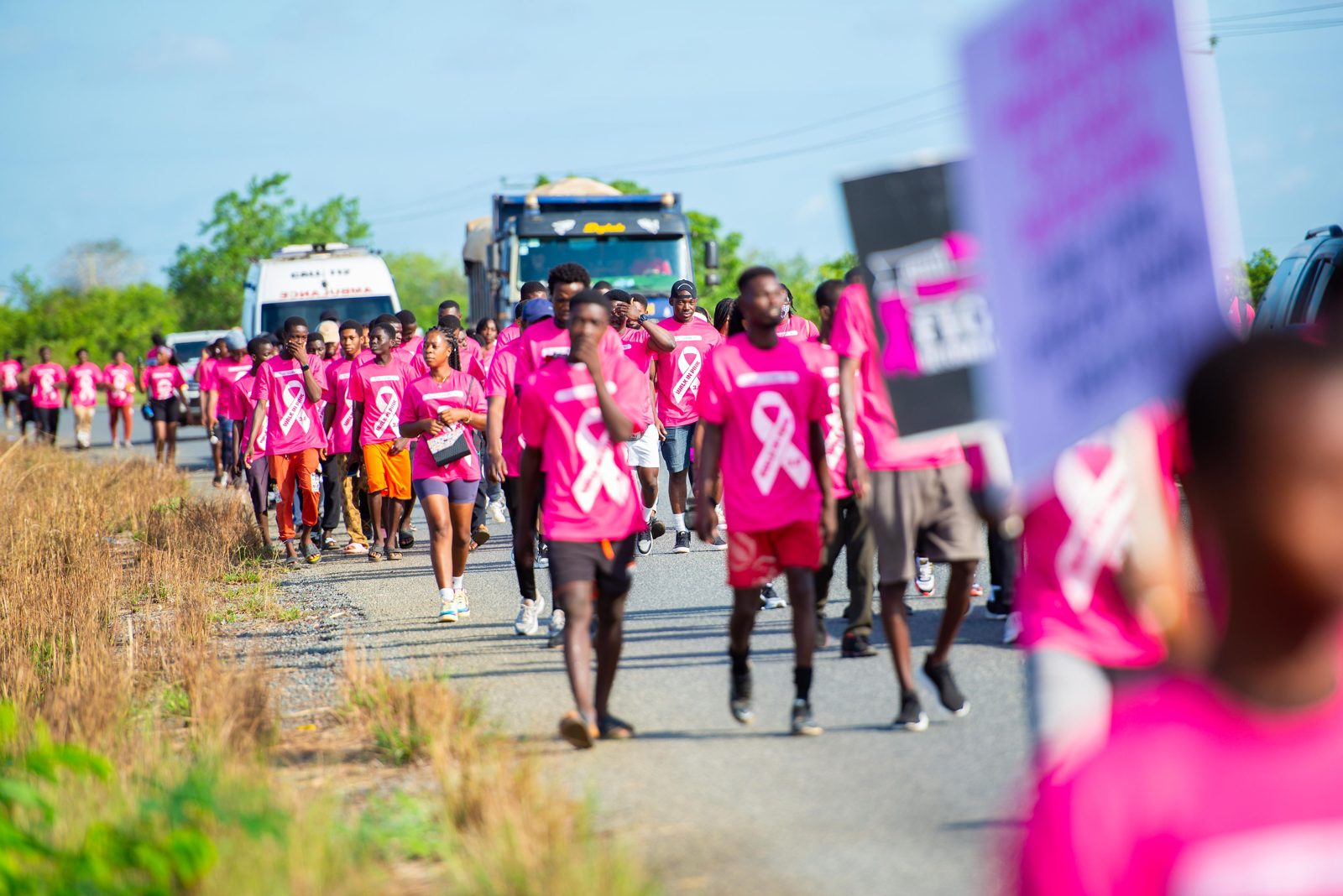 Walk In Pink 2024, photo 15