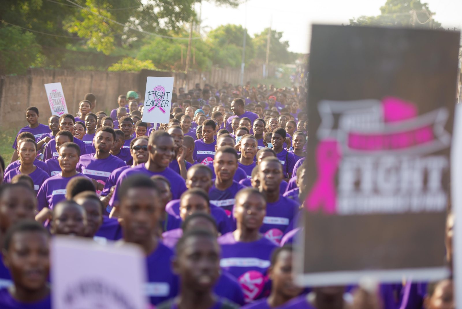Walk In Pink 2025, photo 3