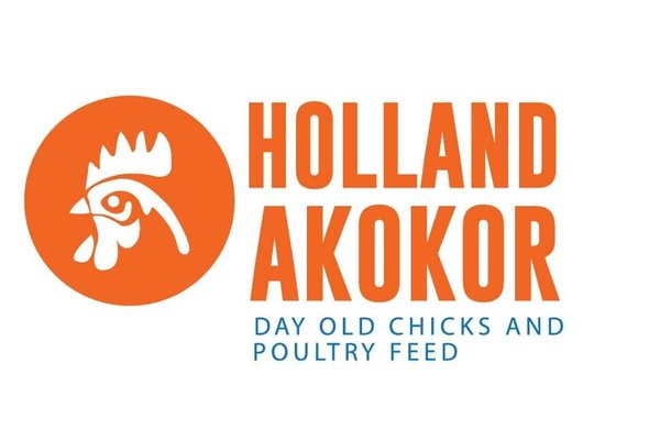Holland Akokor